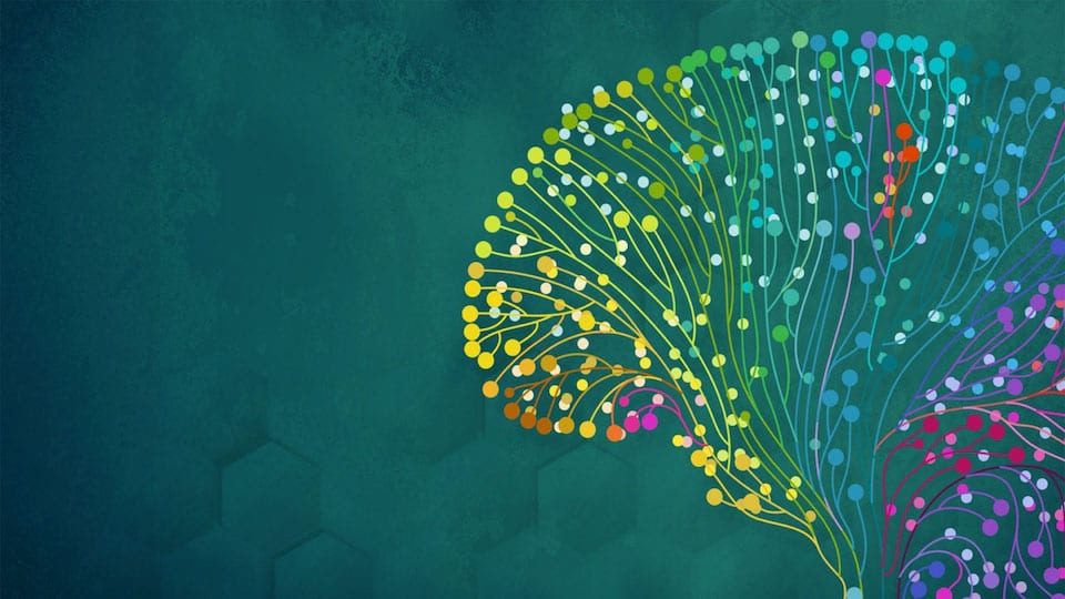 A colorful abstract illustration of a brain, made up of interconnected dots and lines, resembling neural pathways. The design features a gradient of vibrant colors, including yellow, green, blue, purple, and red, symbolizing diversity and complexity. The background is a dark teal color with subtle hexagonal patterns.